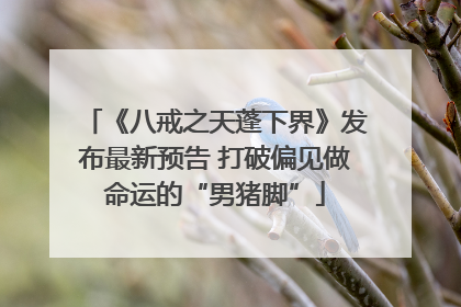 《八戒之天蓬下界》发布最新预告 打破偏见做命运的“男猪脚”