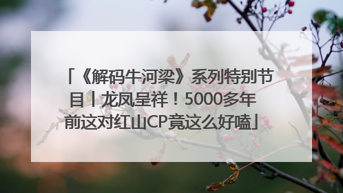 《解码牛河梁》系列特别节目丨龙凤呈祥！5000多年前这对红山CP竟这么好嗑