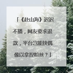 《赴山海》迟迟不播，网友要求退款，平台岂能挟偶像以拿捏粉丝？