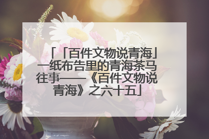 「百件文物说青海」一纸布告里的青海茶马往事——《百件文物说青海》之六十五