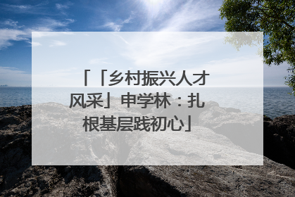 「乡村振兴人才风采」申学林：扎根基层践初心