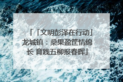 「文明彭泽在行动」龙城镇：桑果盈筐情绵长 育践五柳报春晖