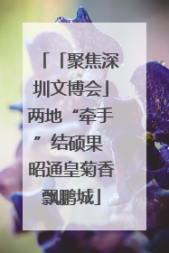 「聚焦深圳文博会」两地“牵手”结硕果 昭通皇菊香飘鹏城