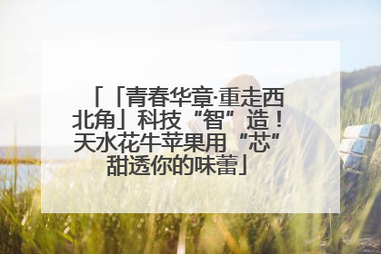「青春华章·重走西北角」科技“智”造！天水花牛苹果用“芯”甜透你的味蕾