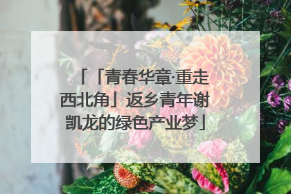 「青春华章·重走西北角」返乡青年谢凯龙的绿色产业梦