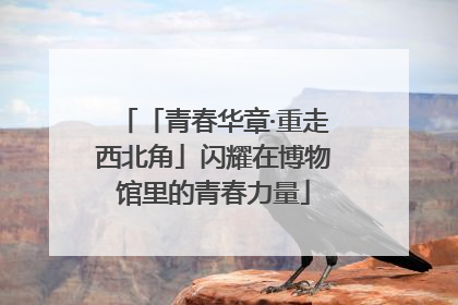「青春华章·重走西北角」闪耀在博物馆里的青春力量