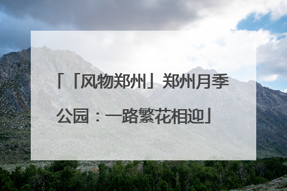 「风物郑州」郑州月季公园：一路繁花相迎