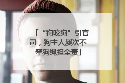 “狗咬狗”引官司，狗主人屡次不牵狗绳担全责