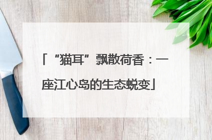 “猫耳”飘散荷香：一座江心岛的生态蜕变