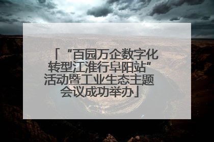 “百园万企数字化转型江淮行阜阳站”活动暨工业生态主题会议成功举办