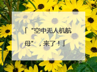 “空中无人机航母”，来了！