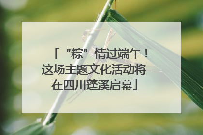 “粽”情过端午！这场主题文化活动将在四川蓬溪启幕
