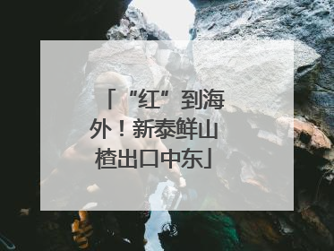 “红”到海外！新泰鲜山楂出口中东