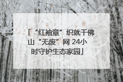 “红袖章”织就千佛山“无废”网 24小时守护生态家园