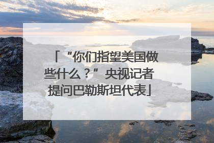 “你们指望美国做些什么？”央视记者提问巴勒斯坦代表