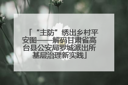 “主防”绣出乡村平安图——解码甘肃省高台县公安局罗城派出所基层治理新实践