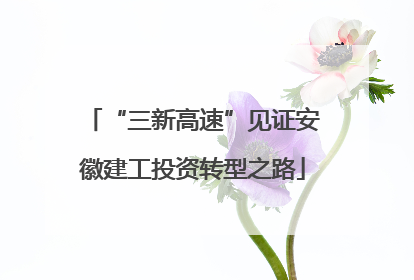 “三新高速”见证安徽建工投资转型之路