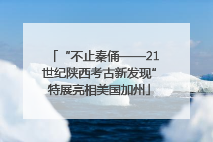 “不止秦俑——21世纪陕西考古新发现”特展亮相美国加州
