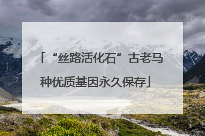 “丝路活化石”古老马种优质基因永久保存