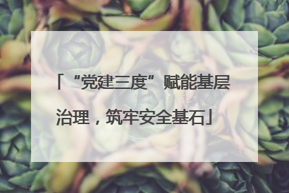 “党建三度”赋能基层治理，筑牢安全基石
