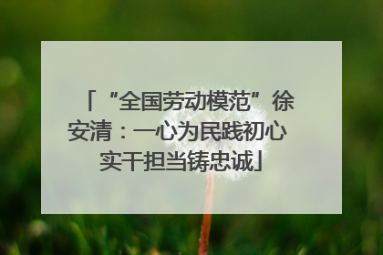 “全国劳动模范”徐安清：一心为民践初心 实干担当铸忠诚