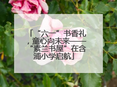 “六一”书香礼，童心向未来——“素兰书屋”在含浦小学启航