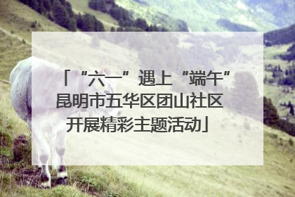 “六一”遇上“端午” 昆明市五华区团山社区开展精彩主题活动