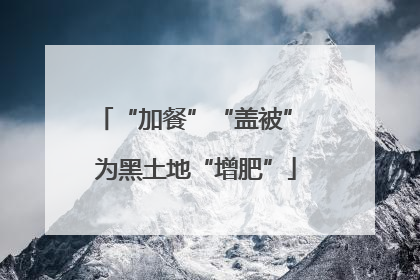 “加餐”“盖被” 为黑土地“增肥”