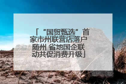 “国贸甄选”首家市州联营店落户随州 省地国企联动共促消费升级