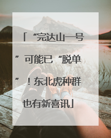“完达山一号”可能已“脱单”！东北虎种群也有新喜讯