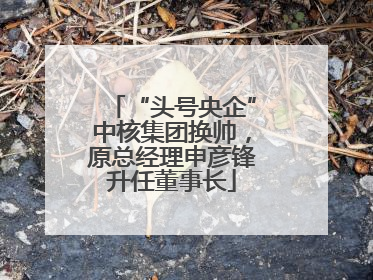“头号央企”中核集团换帅，原总经理申彦锋升任董事长