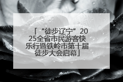 “徒步辽宁”2025全省市民游客快乐行暨铁岭市第十届徒步大会启幕