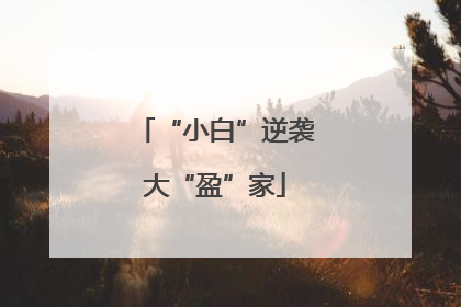 “小白”逆袭大“盈”家