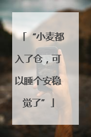 “小麦都入了仓，可以睡个安稳觉了”