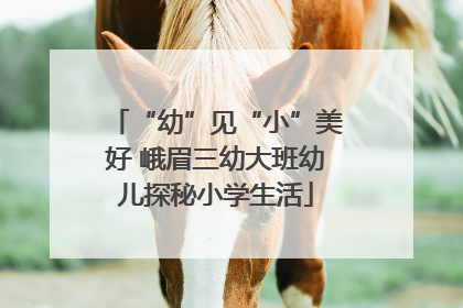 “幼”见“小”美好 峨眉三幼大班幼儿探秘小学生活
