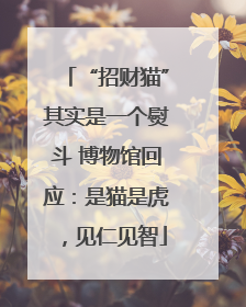 “招财猫”其实是一个熨斗 博物馆回应：是猫是虎，见仁见智