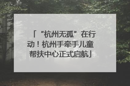 “杭州无孤”在行动！杭州手牵手儿童帮扶中心正式启航