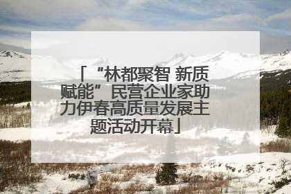 “林都聚智 新质赋能”民营企业家助力伊春高质量发展主题活动开幕