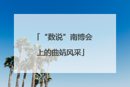 “数说”南博会上的曲靖风采