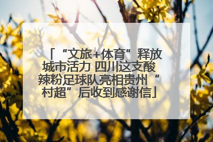 “文旅+体育”释放城市活力 四川这支酸辣粉足球队亮相贵州“村超”后收到感谢信
