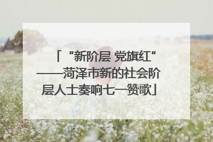 “新阶层 党旗红”——菏泽市新的社会阶层人士奏响七一赞歌