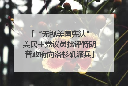 “无视美国宪法” 美民主党议员批评特朗普政府向洛杉矶派兵