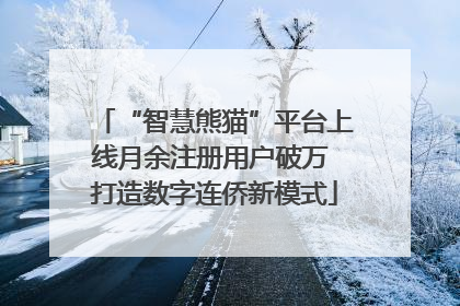 “智慧熊猫”平台上线月余注册用户破万 打造数字连侨新模式