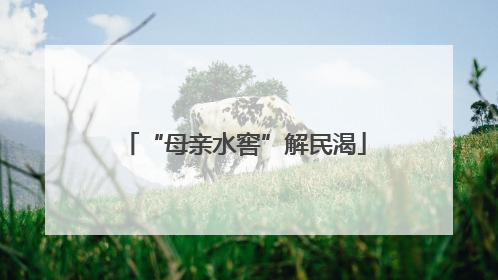 “母亲水窖”解民渴