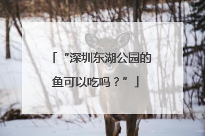 “深圳东湖公园的鱼可以吃吗？”