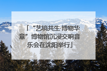 “艺境共生·博物华章”博物馆沉浸交响音乐会在沈阳举行