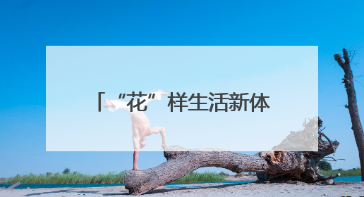 “花”样生活新体验 北京大兴区让月季走进日常生活