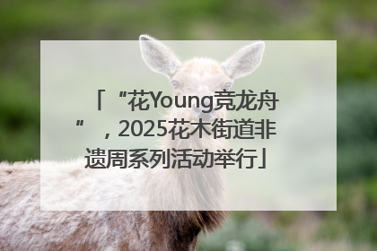 “花Young竞龙舟”，2025花木街道非遗周系列活动举行