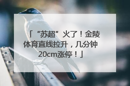 “苏超”火了！金陵体育直线拉升，几分钟20cm涨停！