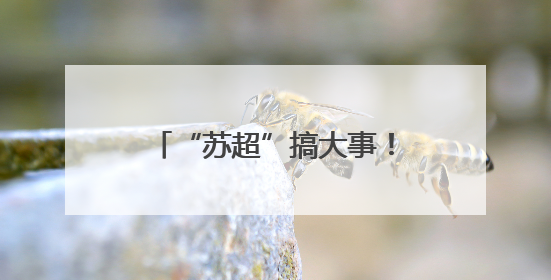 “苏超”搞大事！贝克汉姆空降苏州，还说起了苏州话